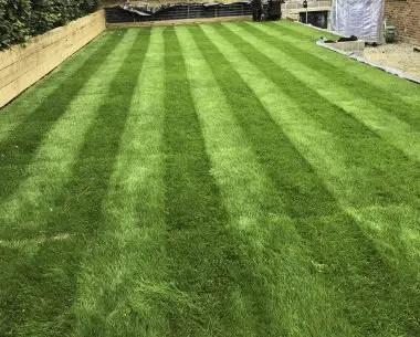 Job 1
