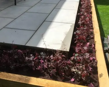 Job 2