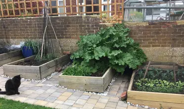 Garden Maintenance Services